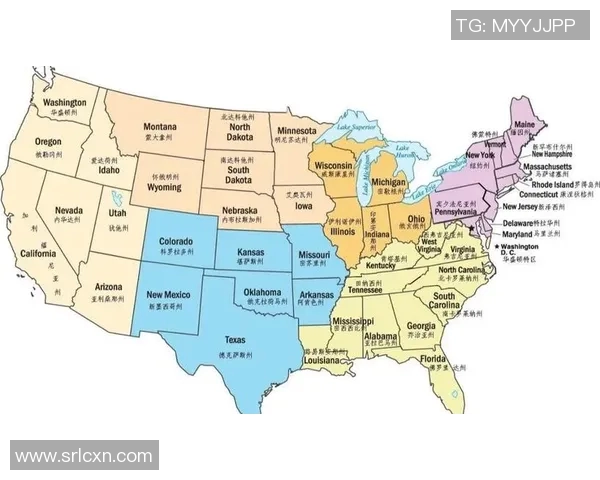 纽约城与西雅图海的文化碰撞与城市魅力深度对比分析